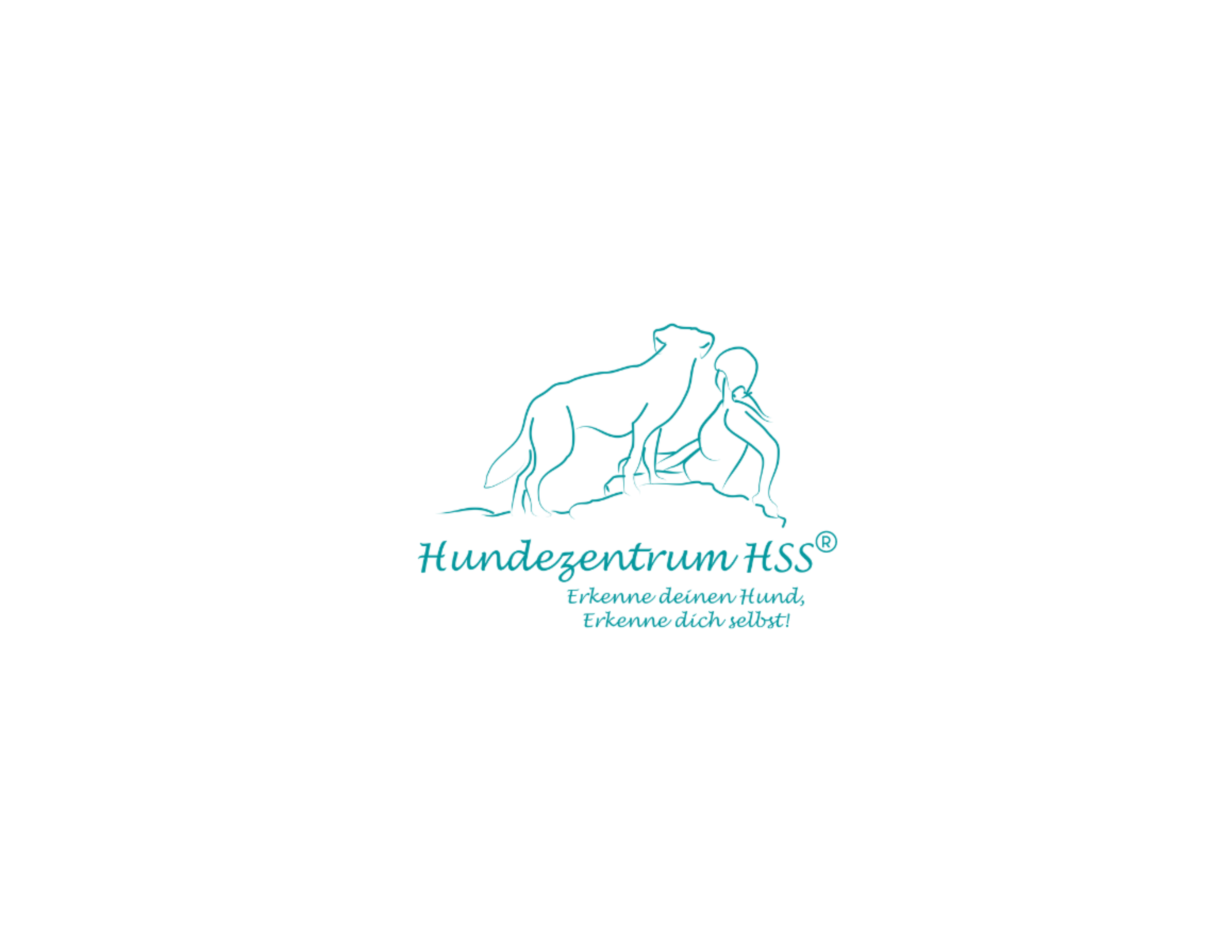 HSS Logo